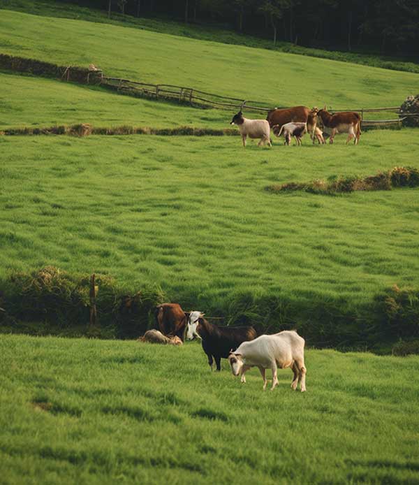 farmer-img-18